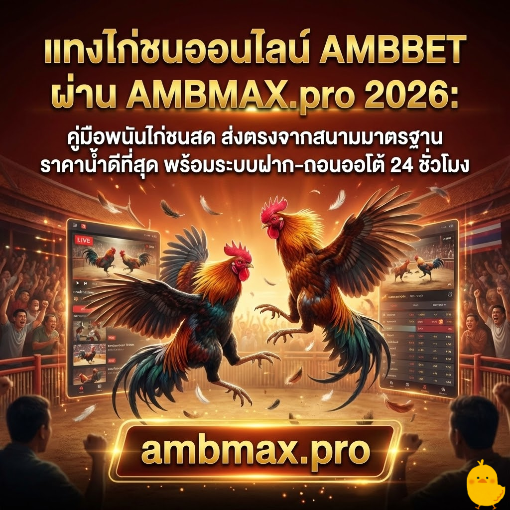 แทงไก่ชนออนไลน์ AMBBET ผ่าน AMBMAX.pro 2026: คู่มือพนันไก่ชนสด ส่งตรงจากสนามมาตรฐาน ราคาน้ำดีที่สุด พร้อมระบบฝาก-ถอนออโต้ 24 ชั่วโมง